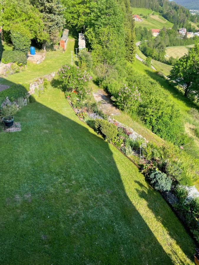 Altes Berghaus Apartment Obertal  Ngoại thất bức ảnh