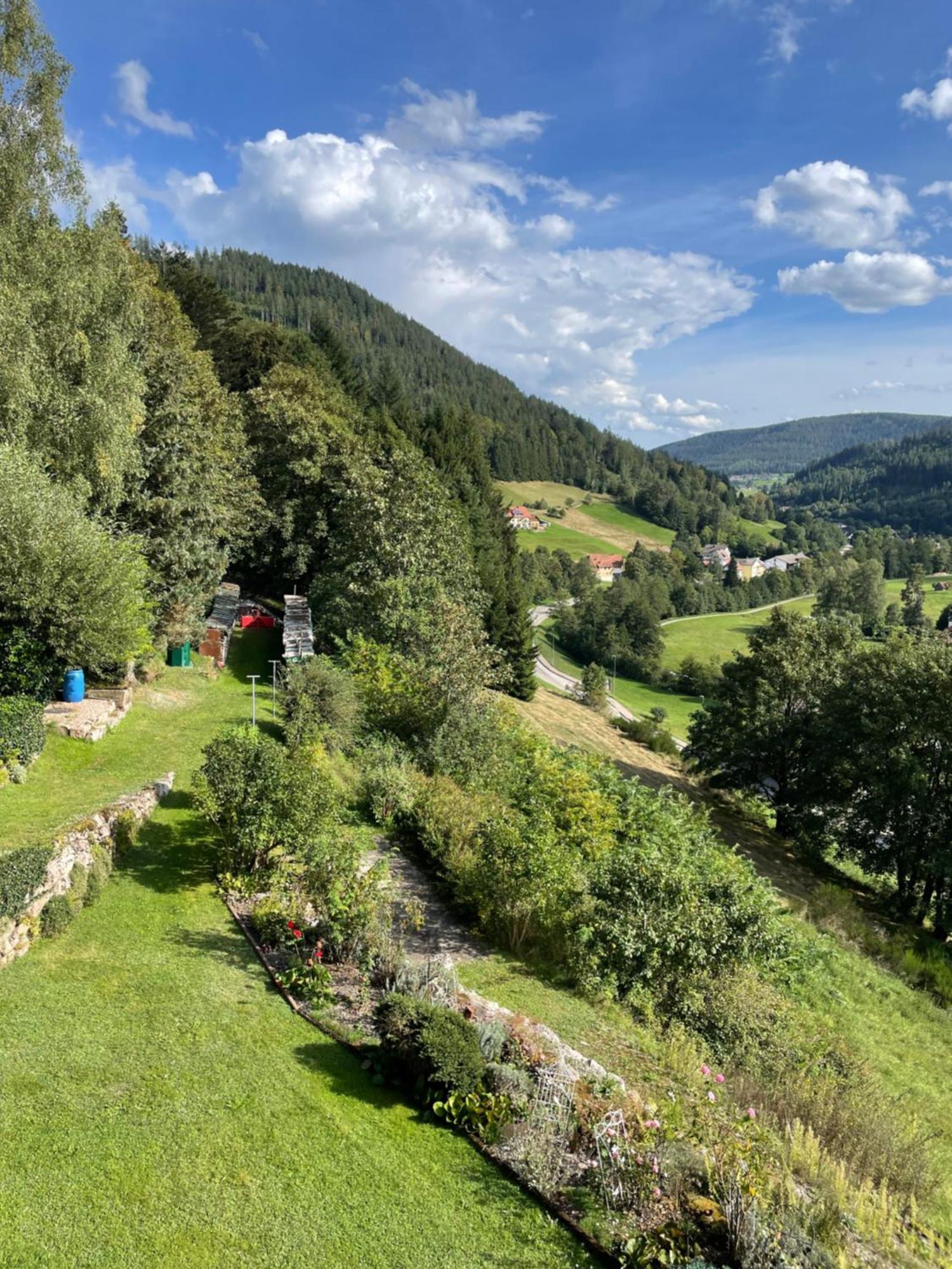 Altes Berghaus Apartment Obertal  Ngoại thất bức ảnh